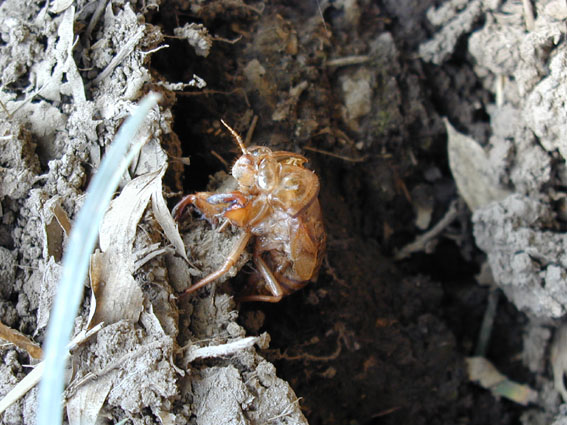 ���݂̔����k�̎ʐ^�B