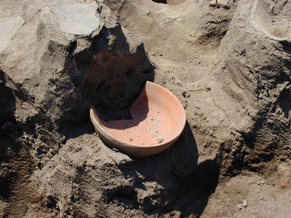 ��1���Z���Ղ��o�y�����y��̎ʐ^�B