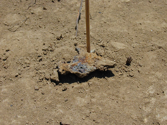 ��1���Z���Տo�y�̓S�����̎ʐ^�B