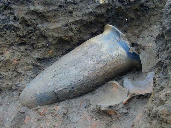 ��1���Z�����}���o�y�P�̋ߐڎʐ^�B