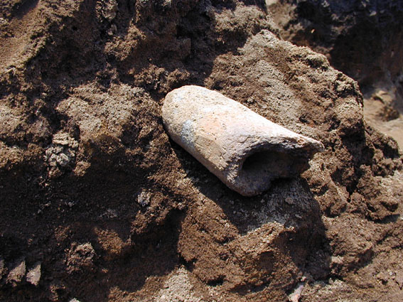 ��3���Z���ՉH���o�y�󋵂̎ʐ^�B