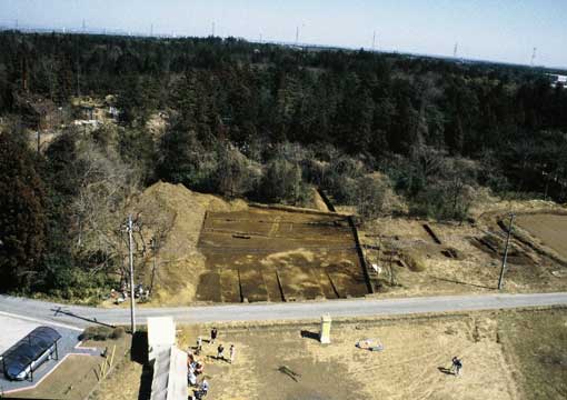 ������Ց�1�������q��ʐ^