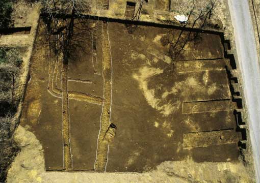 ������Ց�1�������q��ʐ^