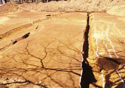 ��P�E�Q���a���@�󋵎ʐ^