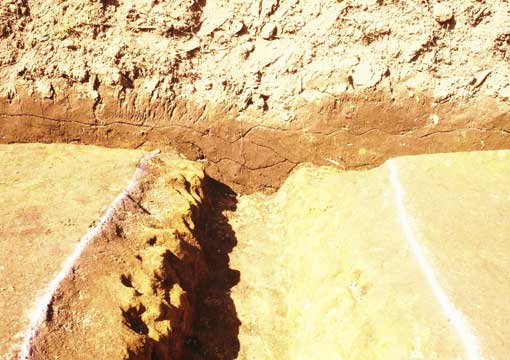 ��1���a�y�w�͐Ϗ󋵎ʐ^