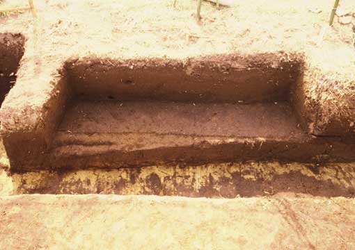 ��3���a�m�F�󋵎ʐ^