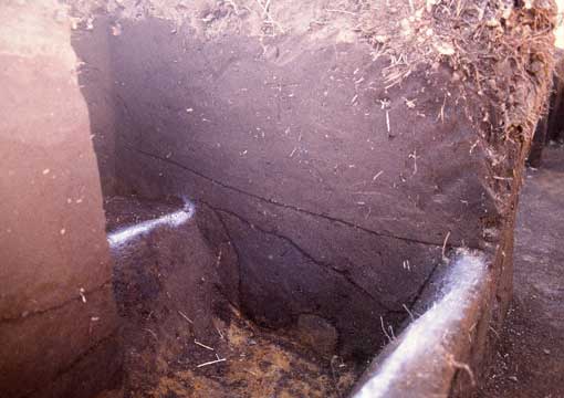 ��3���a�y�w�͐Ϗ󋵂̎ʐ^