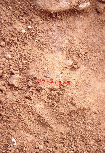 �A�������o�y�����K���X�ʂ̎ʐ^�B