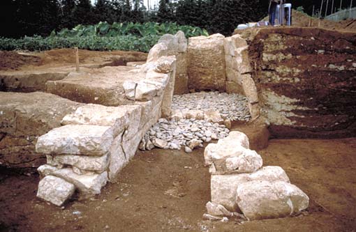 �Ύ����@�󋵎ʐ^�B