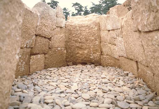 �Ύ����̏󋵎ʐ^�B