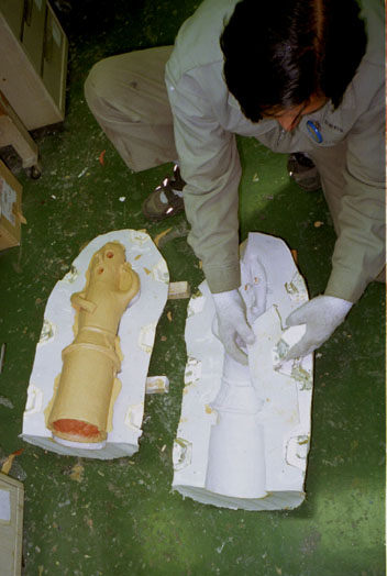 �`������o����郌�v���J�̎ʐ^