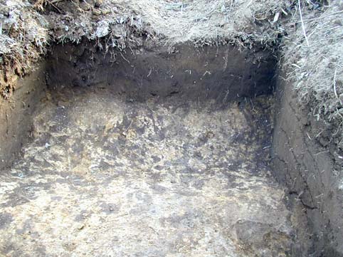 ��1���a���@�󋵎ʐ^