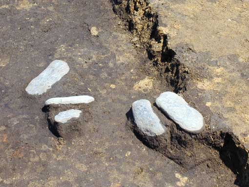 ��1���Z���Ո╨�o�y�󋵂��Ⴕ��Q